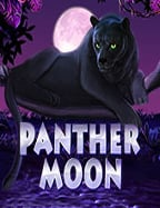 สำรวจกับ สล็อต xo เอเชีย ที่ไม่ควรพลาด